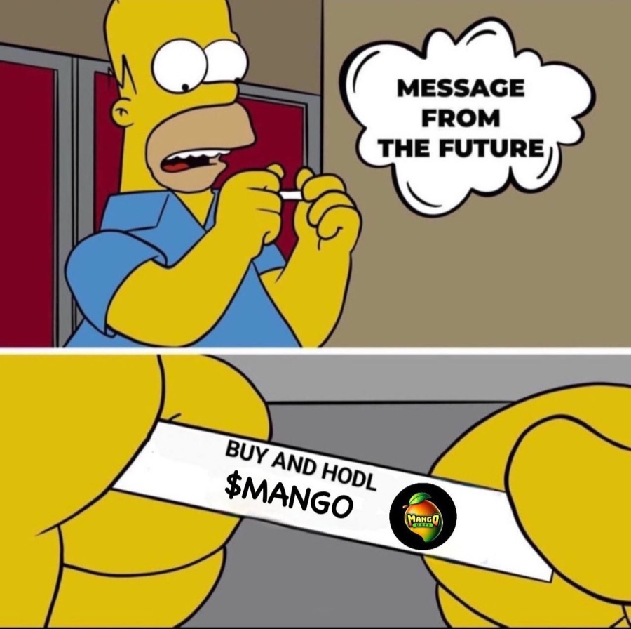 Buy and hodl meme